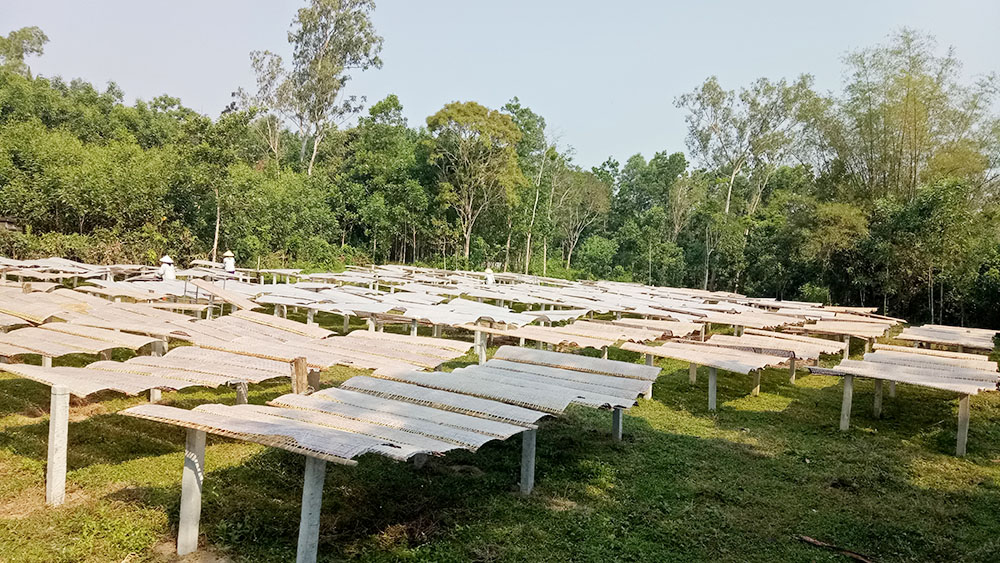 Bánh tráng lề Địch Yên